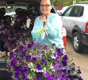 HB Niagara Falls combo Hanging Basket (c6)